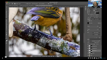 Curso Photoshop e criatividade