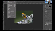 Curso Photoshop e criatividade