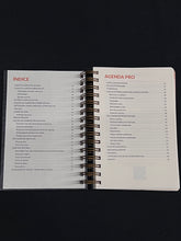 Agenda Pro Perpétua - argolas douradas