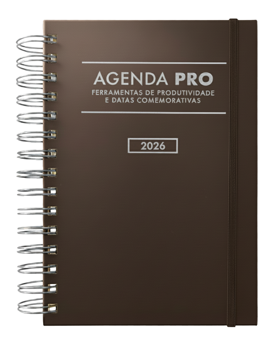 Agenda Pro 2026 argolas prateadas