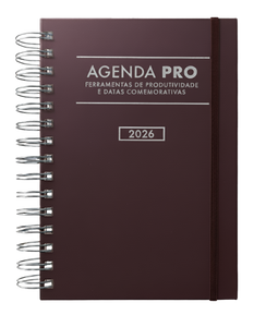 Agenda Pro 2026 argolas prateadas